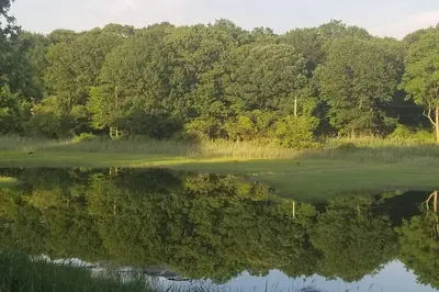 a view of a pond with trees in the background at Luxury 5 Star Home with Amazing Water Views in Mamaroneck