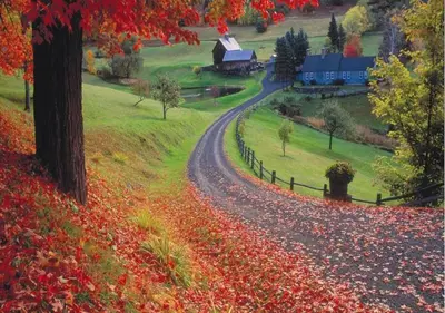 a road leading to a farm in the fall at Sweet Escape, 2BR apt in BEACH community, Only 1 hr to NYC! in Norwalk