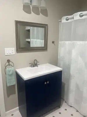 a bathroom with a sink and a shower at Renovated 3 bedroom for Professionals in Albany