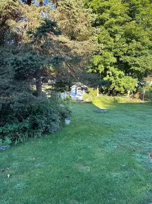a field of green grass with a frisbee at Cozy studio quiet in Trumbull