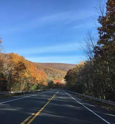 an empty road with trees on both sides of it at Catskill Cabin, Cool Apartment, 2nd Floor in Shandaken