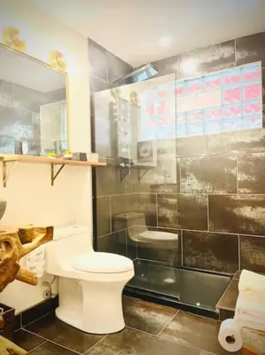 a bathroom with a toilet and a shower at Catskill Cabin, Cool Apartment, 2nd Floor in Shandaken