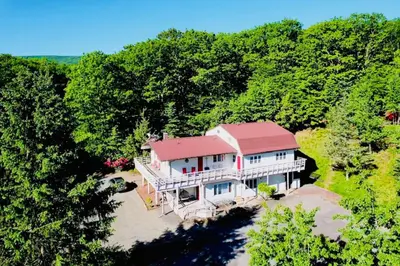 an aerial view of a house in the woods at Catskill Cabin Bird of Paradise 7 in Shandaken