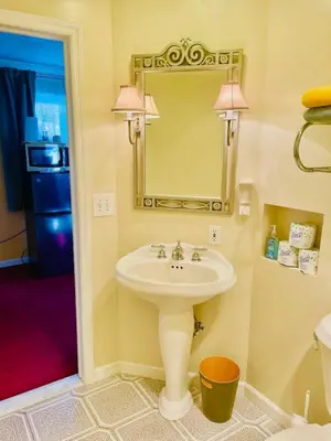a bathroom with a sink and a mirror at Catskill Cabin The Flamingo Suite 5 in Shandaken