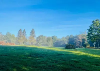 a large green field with trees in the background at Lotus Family Suite w 2 Beds Kitchenette 4 in Shandaken