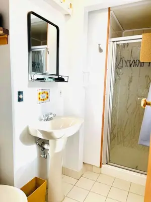 a bathroom with a sink and a shower at Catskill Cabin Hummingbird Suite 2 in Shandaken
