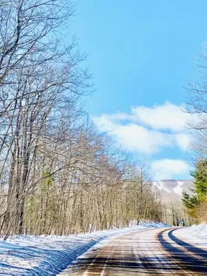 a snow covered road with trees on either side at Catskill Cabin Hummingbird Suite 2 in Shandaken