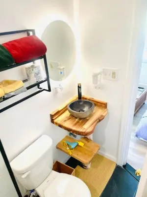 a bathroom with a sink and a toilet in a room at Catskill Cabin Little Owl Apt 1 in Shandaken