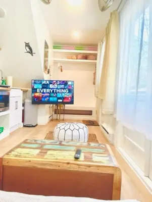 a living room with a coffee table and a tv at Catskill Cabin Little Owl Apt 1 in Shandaken