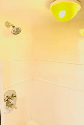 a bathroom with a shower with a light on the ceiling at Catskill Cabin Apres Ski in Shandaken