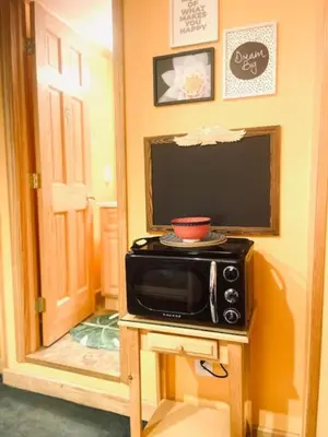 a microwave sitting on a table next to a television at Catskill Cabin Apres Ski in Shandaken