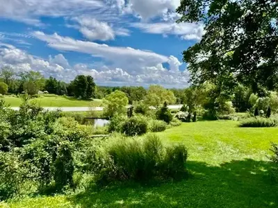 a lush green field with a pond and trees at High Point Mountain Motel in Wantage