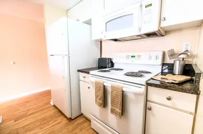 a kitchen with a stove and a refrigerator at Serene Apt Downtown in Stamford