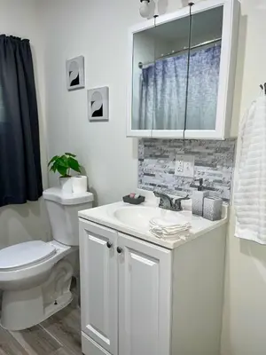 a white bathroom with a toilet and a sink at Spacious 4BR home w 2BA, a workspace & king bed! in Fort Plain