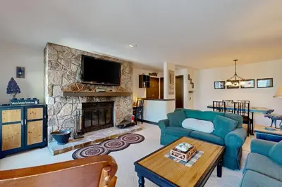 a living room with a couch and a fireplace at The Seasons G27 in Dover