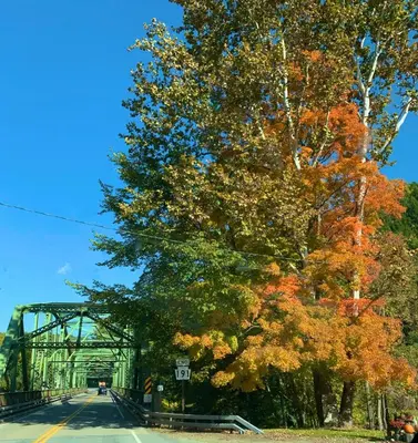 a road with a bridge and a tree with autumn leaves at Green Acres Retreat in Hancock