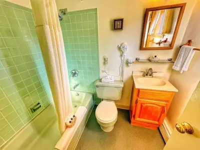 a bathroom with a toilet and a sink and a shower at Brittany Motel in Sunderland