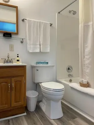 a bathroom with a toilet and a tub and a sink at Brittany Motel in Sunderland