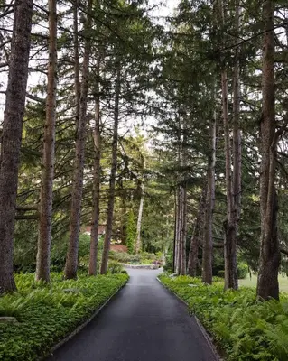 a road through a forest with trees at Private 37 Acre Lake Estate On 164 Acres - 11 Br in Highland