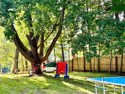 a ping pong table and a tree in a yard at Family Lake House Waterfront in Saugerties