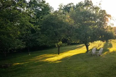 two white chairs sitting in a field with trees at Stunning All-Season Renovated Barn Escape! in East Chatham