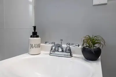a bathroom sink with a bottle of soap and a plant at Queen Bed Apt in West Hartford in West Hartford