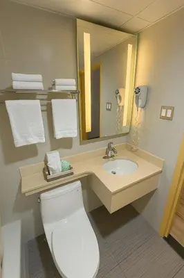 a bathroom with a toilet and a sink with a mirror at Floral Park Motor Lodge in Floral Park
