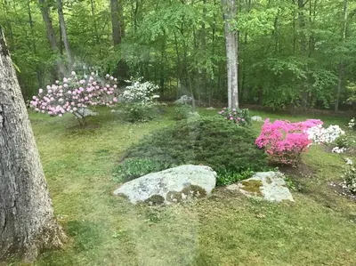 a garden with pink and white flowers and a rock at Midcentury Modern ZenHouse Sculptor Studio in Stamford