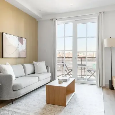 Vinegar Hill 1br w wd roof gym nr TimeOut Building NYC-959