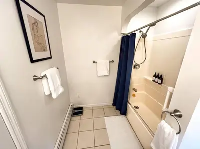 a bathroom with a walk in shower and a sink at Hudson Valley Haven - NY in Red Hook