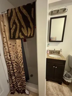 a bathroom with a zebra shower curtain and a sink at Angelica peaceful place in West Haven