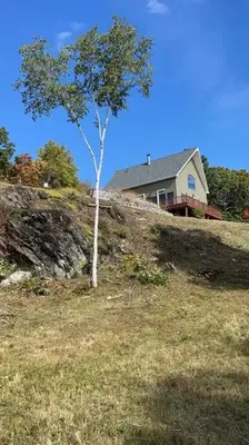 a tree on top of a hill in front of a house at SRC-Hudson Valley, Berkshires Cultural Corridor in Canaan