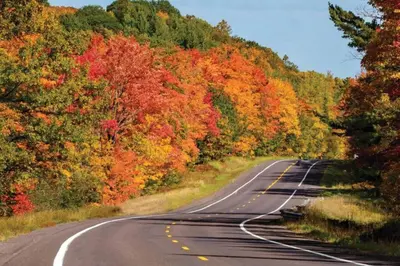an empty road in the fall with colorful trees at Unique Fully Restored Landmark Barn in Hudson in Claverack