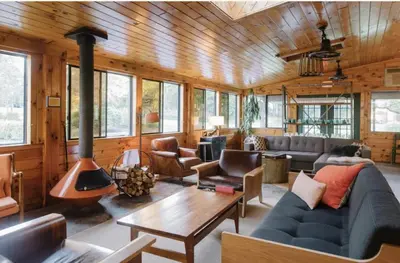 a living room with a couch and a fireplace at The Arnold House in Livingston Manor