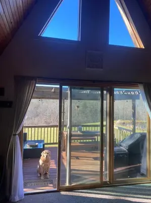 a dog standing in the doorway of a house at Corner's Cabin - A-Frame - Catskills NY in South New Berlin