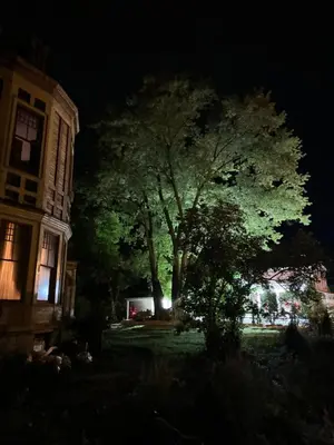 a large tree in front of a building at night at Haslett House - A Gilded Age Estate in Fort Plain