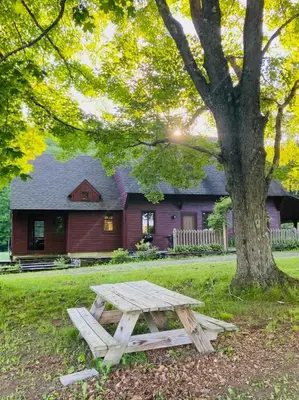 a wooden picnic table in front of a tree at Private Woodland Retreat with Cedar Hot Tub & Mt View in Gilboa