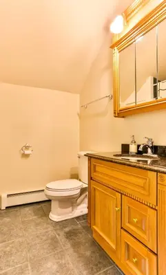 a bathroom with a toilet and a sink at Country Escape Overlooking Hunter & Windham Mts in Jewett