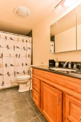 a bathroom with a toilet and a sink at Country Escape Overlooking Hunter & Windham Mts in Jewett
