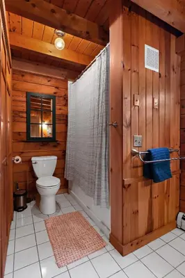 a bathroom with a toilet and a shower at Cozy Athens Cabin on the Lake with Hot Tub & Backyard in Athens