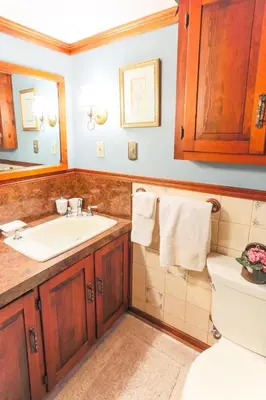 a bathroom with a sink and a toilet at Cozy Rustic Bliss Seconds from Windham Mt Resort in Windham