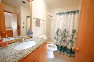 a bathroom with a sink and a toilet and a shower at Windham Mountain Village Condo in Windham