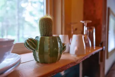 a cactus sitting on top of a wooden table at Poconos Cabin Year Round Bliss in Greentown