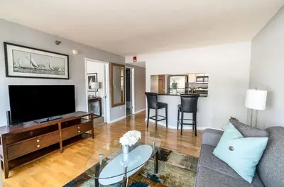 a living room with a couch and a tv at Comfy Apt Downtown in Stamford