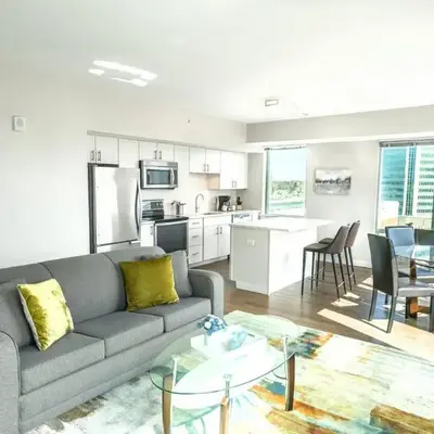 Entire Apt Downtown with Gym