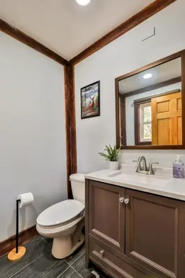a bathroom with a toilet and a sink and a mirror at Mountain Dream Brand New Hot Tub Fire Pit in Hunter