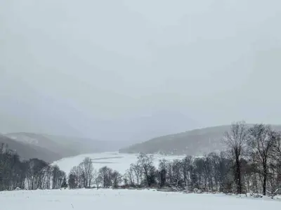 a snow covered field with trees and a lake at The Little Lake Cabin in New Fairfield