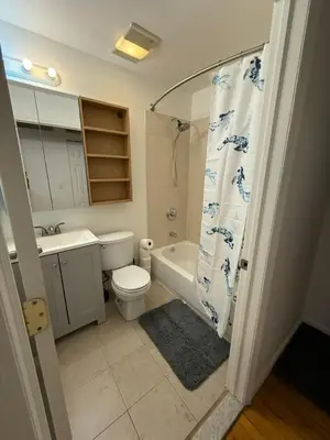 a bathroom with a toilet and a shower curtain at Cottage 215 Apartments in New York