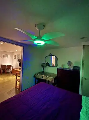 a bedroom with a bed and a ceiling fan at Cozy and Comfy Cellar in Yonkers