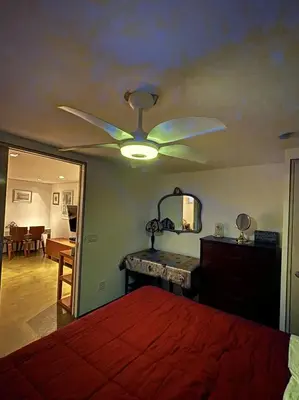 a bedroom with a ceiling fan and a mirror at Cozy and Comfy Cellar in Yonkers